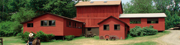 arts studios and horse at summer arts camp