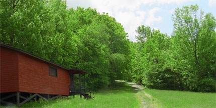 camp cabin at fine at rural summer camp
