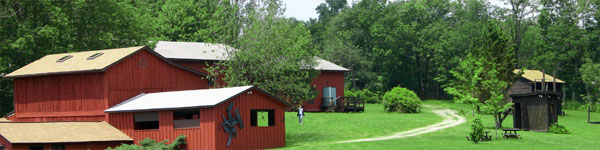 art studios through trees at fine and performing arts camp